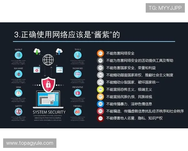 AG电子网站最新安全保障措施全面解析助你轻松体验无忧游戏环境